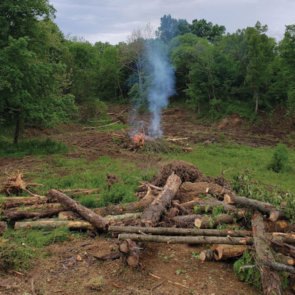 Backhoe-Worx-Land-Clearing